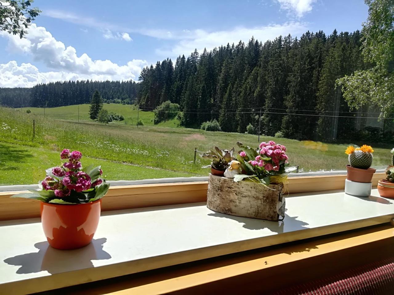 Hotel Kaltenbach Schönwalde 외부 사진